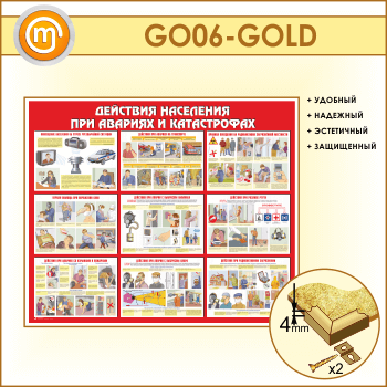 ����� ��������� ��������� ��� ������� � ������������ (GO-06-GOLD)