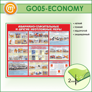����� ���������-������������ � ������ ���������� ����� (GO-05-ECONOMY)