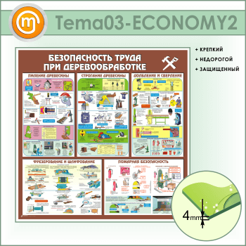 Стенд «Безопасность труда при деревообработке» (TM-03-ECONOMY2)