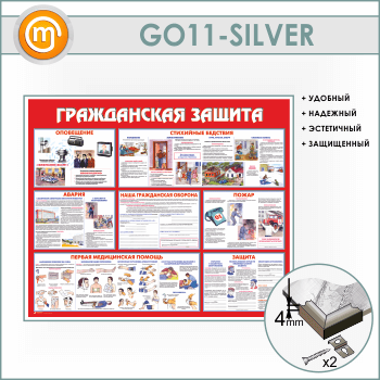 ����� ������������ ������ (GO-11-SILVER)