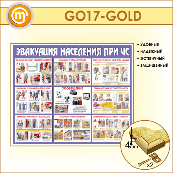 ����� ���������� ��������� ��� �ѻ (GO-17-GOLD)
