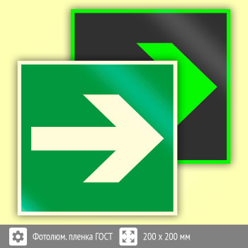 Знак E02-01 «Направляющая стрелка» (фотолюминесцентная пленка ГОСТ 34428-2018, 200х200 мм)