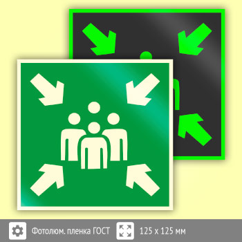 Знак E21 «Пункт (место) сбора» (фотолюминесцентная пленка ГОСТ 34428-2018, 125х125 мм)