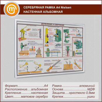 �������� ��������� ����� �Nielsen� �4 �������, ���������, ������� �������