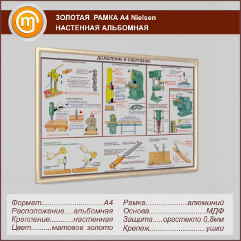 �������� ��������� ����� �Nielsen� �4 �������, ���������, ������� ������