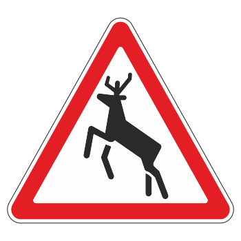 �������� ���� 1.27 ������ �������� (������ 0,8 ��, III ����������: ������� 1200 ��, �/� ������: ��� � ��������)