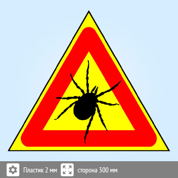 ���� ������, B98 (�������, ������� 200 ��)