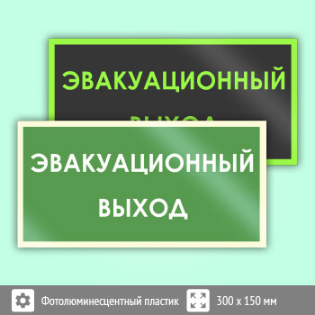 Знак B43 «Эвакуационный выход» (фотолюминесцентный пластик, 300х150 мм)