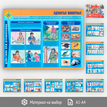 Плакаты «Действия при отравлениях ядовитыми веществами» (АР-13, 10 листов)