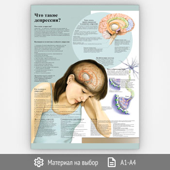 ������ ���� ����� ���������?� (���-07, 1 ����)