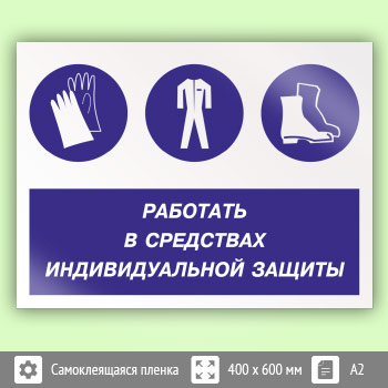 ���� ��������� � ��������� �������������� �������, ��-81 (������, 600�400 ��)