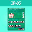 ������ ������� ������ ������������� (��-03, ������, �3, 1 ����)